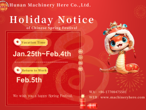 Spring Festival Holiday Notice